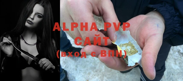 амф Вяземский