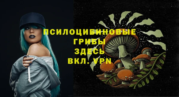 mix Вязьма