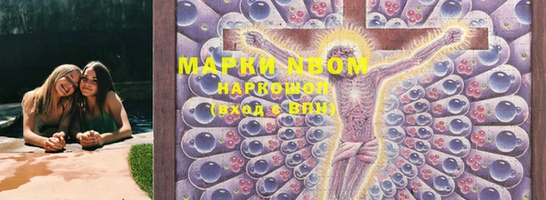 амф Вяземский