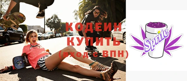 амф Вяземский