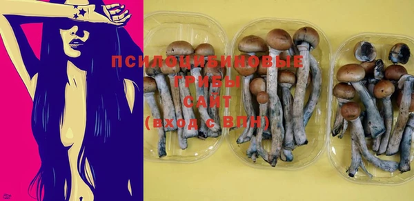 стафф Горняк