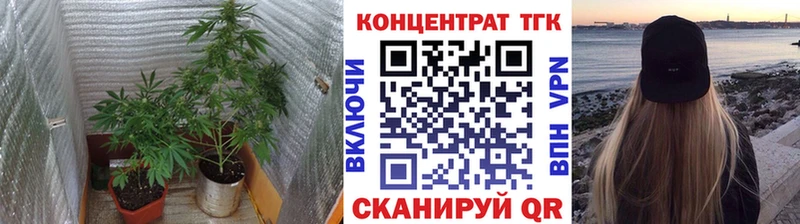 Дистиллят ТГК Wax  Купить где  Лукоянов 
