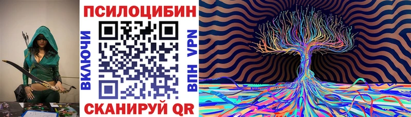 Купить закладки  Лукоянов  Псилоцибиновые грибы MAGIC MUSHROOMS 